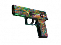 P250 Visions
